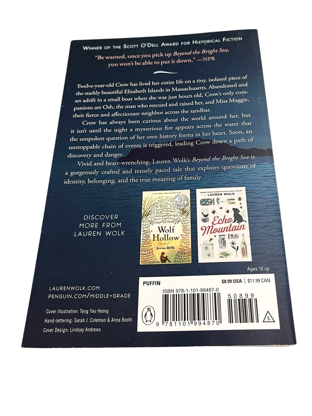 NPR 2018 Best Book of the Year-“Beyond the Bright Sea” By Lauren Wolk NEW - Picture 2 of 5